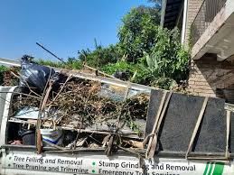 Best Property Management Cleanouts  in Denton, TX